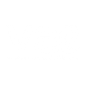 logo vee